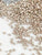 DB2305-1.6mm-300pcs
