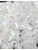 MIYUKI-DB201-1.6mm-300pcs
